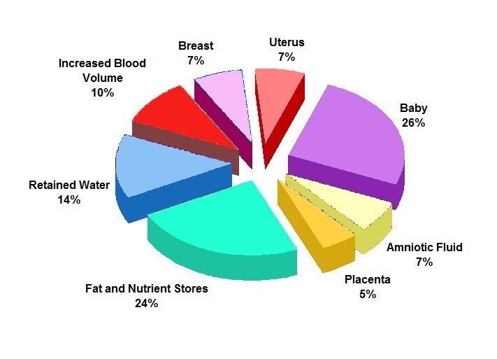 Pie chart showing the approximate distribution of pregnancy weight gain in singleton pregnancy